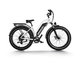 Himiway D3 (Cruiser) 750W Long Range Fat Tire Electric Bike