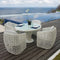 Skyline Design Dynasty 5-Piece Dining Set with Sunbrella Cushion