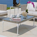 Skyline Design Brafta Coffee Table with Glass