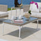 Skyline Design Brafta Coffee Table with Glass