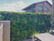 Designer Plants USA Ultra Luxury Amazon Jungle Vertical Garden 40" x 40" 11SQ FT Commercial Grade UV Resistant
