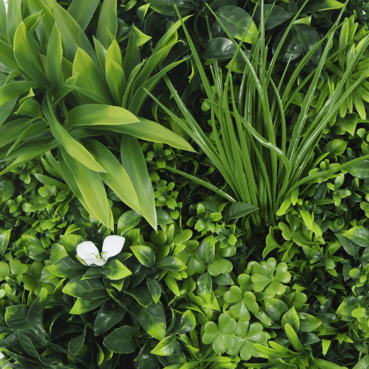 Designer Plants USA Luxury Artificial Green Plant Wall Circle 20" White Frame UV Resistant