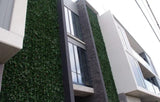 Designer Plants USA Artificial Photinia Hedge Panel 40 x 40 Commercial Grade UV Resistant