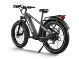 Himiway D5 (Zebra) 750W All-Terrain Fat Tire Electric Bike