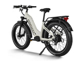 Himiway D5 ST (Zebra ST) 750W All-Terrain Step-Thru Fat Tire Electric Bike