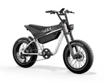 Himiway C5 750W 48V 20Ah Electric Bike