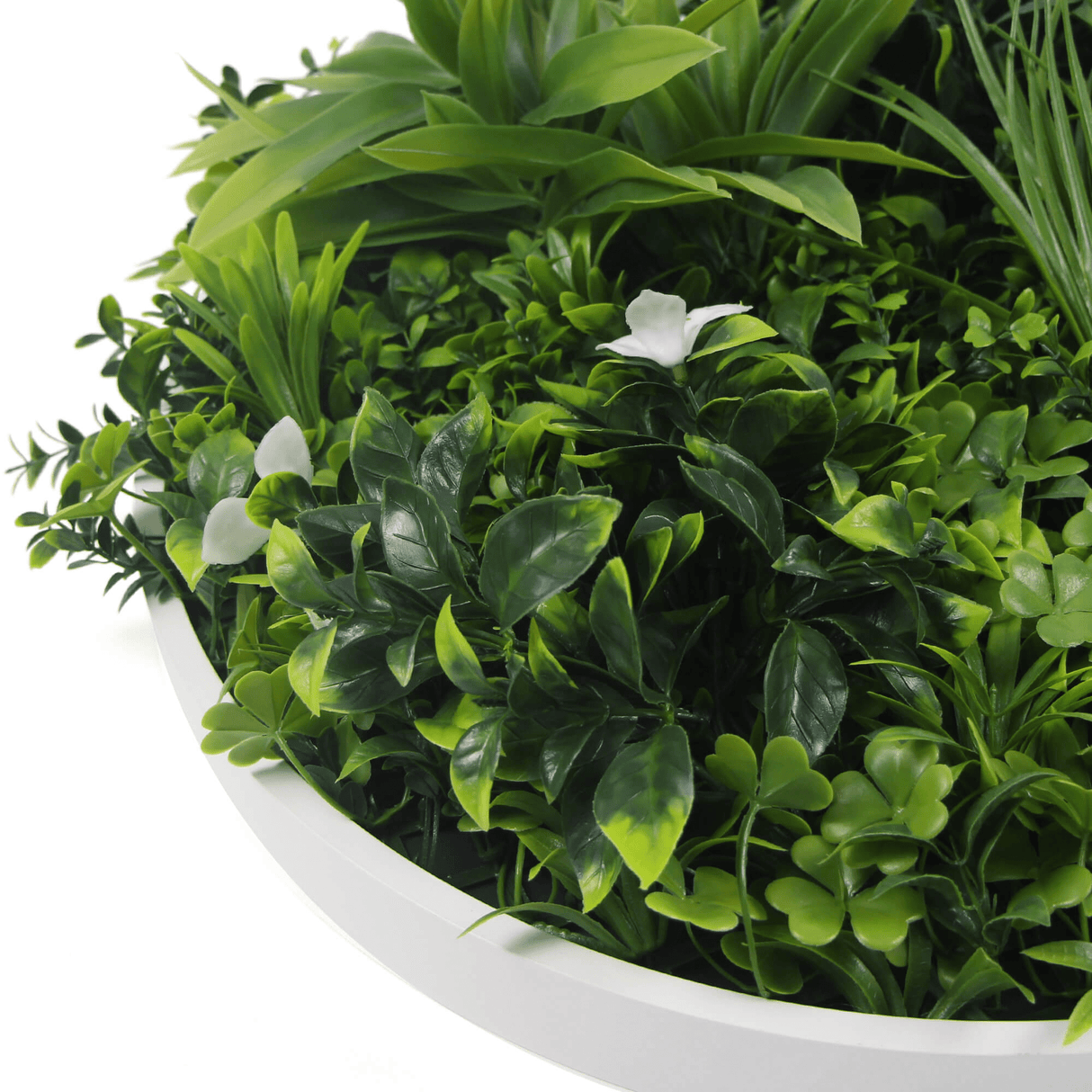 Designer Plants USA Luxury Artificial Green Plant Wall Circle 20" White Frame UV Resistant