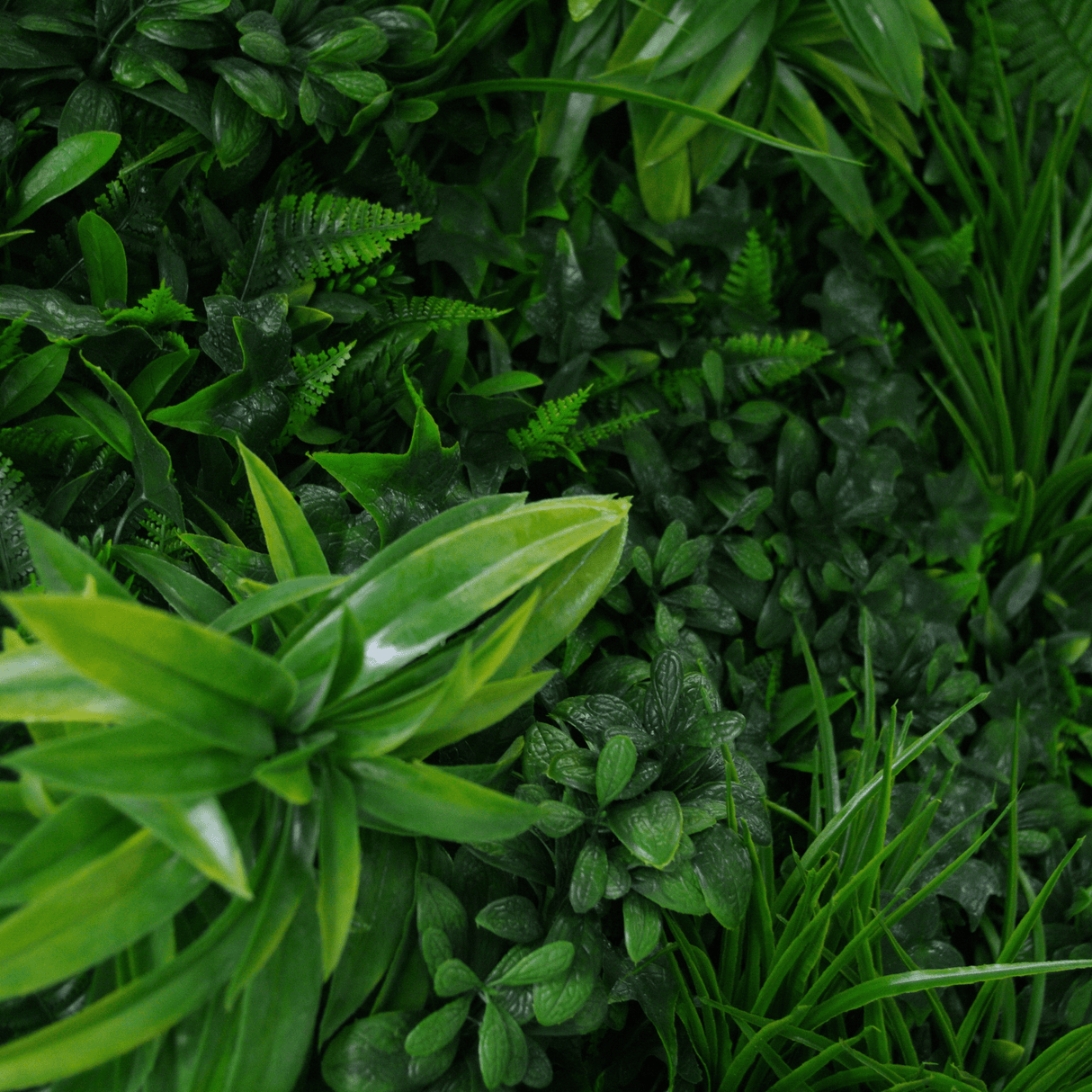 Designer Plants USA Luxury Green Tropics Artificial Living Wall 40x40 Commercial Grade