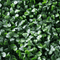Designer Plants USA Dark Artificial Boxwood Wall 40" x 40" 11SQ FT Commercial Grade UV Resistant
