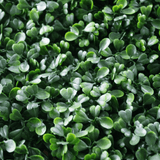Designer Plants USA Dark Artificial Boxwood Wall 6 Pieces 40" x 40" Set Commercial Grade