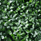 Designer Plants USA Dark Artificial Boxwood Wall 6 Pieces 40" x 40" Set Commercial Grade