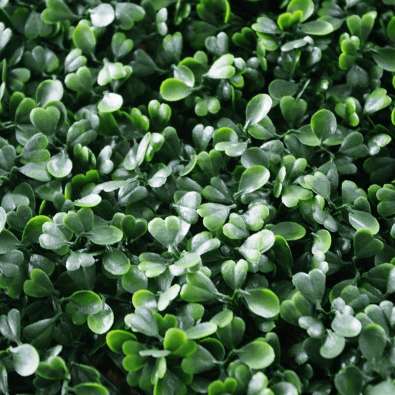 Designer Plants USA Dark Artificial Boxwood Wall 6 Pieces 40" x 40" Set Commercial Grade