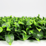 Designer Plants USA Jasmine Artificial Green Wall 40" x 40" Commercial Grade UV Resistant