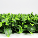 Designer Plants USA Jasmine Artificial Green Wall 40" x 40" Commercial Grade UV Resistant