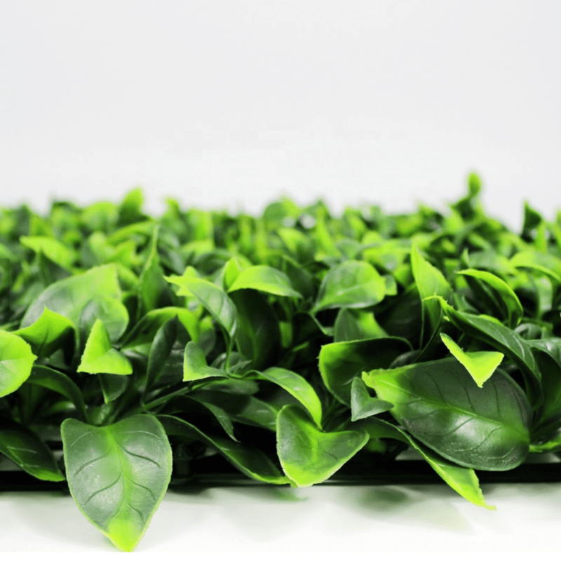 Designer Plants USA Jasmine Artificial Green Wall 40" x 40" Commercial Grade UV Resistant