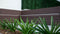 Designer Plants USA Dark Artificial Boxwood Wall 6 Pieces 40" x 40" Set Commercial Grade
