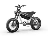 Himiway C5 750W 48V 20Ah Electric Bike