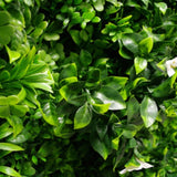 Designer Plants USA Luxury White Oasis Artificial Vertical Garden 40" x 40" 11SQ FT Commercial Grade UV Resistant