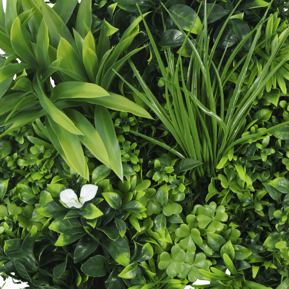 Designer Plants USA Luxury Artificial Green Plant Wall Circle 30" White Frame UV Resistant