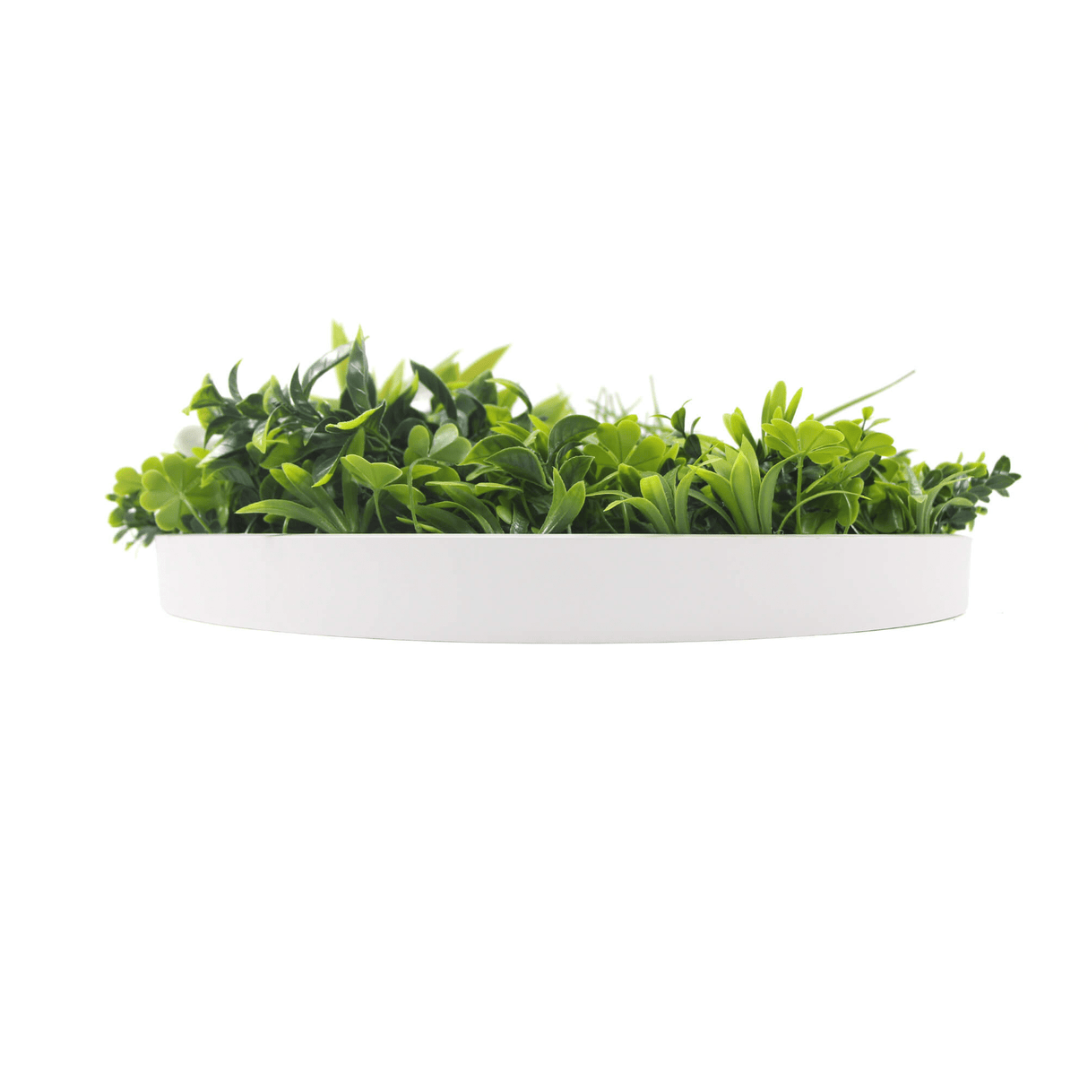 Designer Plants USA Luxury Artificial Green Plant Wall Circle 20" White Frame UV Resistant
