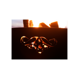 Fire Pit Art Africa's Big Five Fire Pit