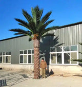 Designer Plants USA Tall Artificial Florida Palm Tree (13ft To 23ft) UV Resistant