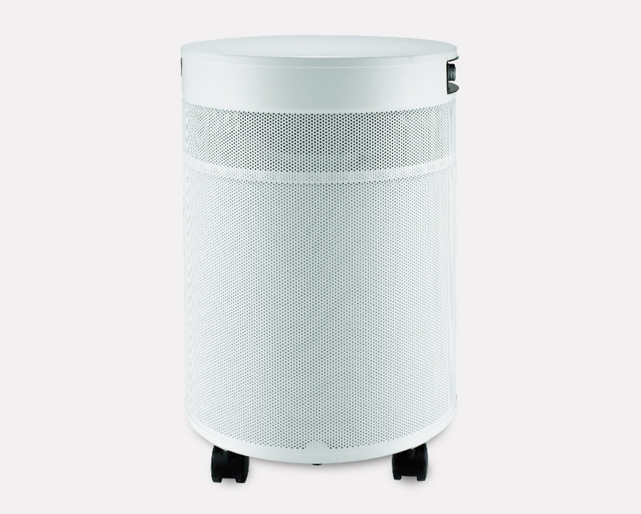 Airpura P600 Plus Germs, Mold and Chemicals Air Purifier