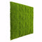 Designer Plants USA Faux Evergreen Moss Mat 40" x 20" 5.5 SQFT UV Resistant Commercial Grade UV Resistant