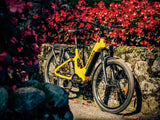 Himiway A7 Pro 500W Mid-Drive Full Suspension Urban Commuter Electric Bike