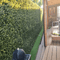 Designer Plants USA Natural Artificial Boxwood Wall 40"x40" Commercial Grade UV Resistant
