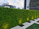 Designer Plants USA Lush Fern Artificial Green Wall 40" x 40" 11SQ FT Commercial Grade UV Resistant