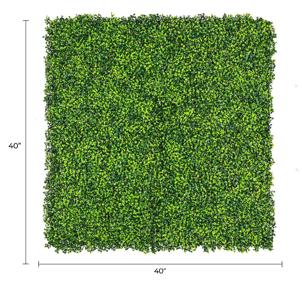 Designer Plants USA Artificial Mixed Boxwood Hedge Panel Wall 40" x 40" Commercial Grade