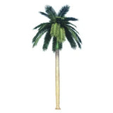 Designer Plants USA Tall Artificial Royal Palm Tree (13ft - 23ft) UV Resistant