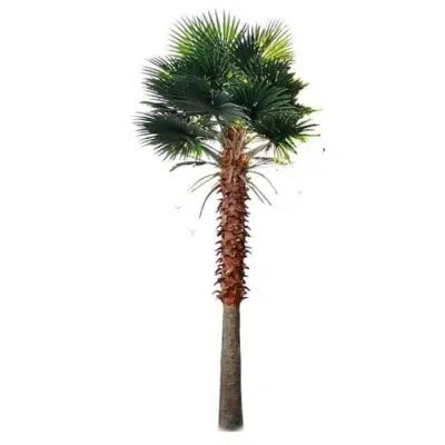 Designer Plants USA Tall Artificial Mexican Fan Palm Tree (13ft - 23ft) UV Resistant