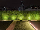 Designer Plants USA Lush Fern Artificial Green Wall 40" x 40" 11SQ FT Commercial Grade UV Resistant