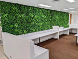 Designer Plants USA Luxury Green Tropics Artificial Living Wall 40x40 Commercial Grade