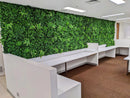 Designer Plants USA Luxury Green Tropics Artificial Living Wall 40x40 Commercial Grade