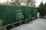 Designer Plants USA Dark Artificial Boxwood Wall 40" x 40" 11SQ FT Commercial Grade UV Resistant
