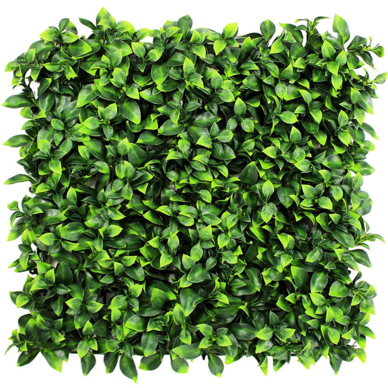 Designer Plants USA Jasmine Artificial Green Wall 40" x 40" Commercial Grade UV Resistant