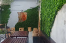 Designer Plants USA Jasmine Artificial Green Wall 40" x 40" Commercial Grade UV Resistant