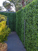Designer Plants USA Jasmine Artificial Green Wall 40" x 40" Commercial Grade UV Resistant