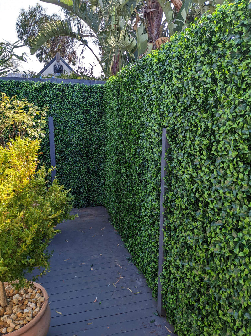 Designer Plants USA Jasmine Artificial Green Wall 40" x 40" Commercial Grade UV Resistant