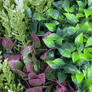 Designer Plants USA Evergreen Triptych Vertical Garden Wall Set 3 Pieces UV Resistant