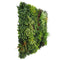 Designer Plants USA Evergreen Triptych Vertical Garden Wall Set 3 Pieces UV Resistant