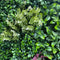 Designer Plants USA Evergreen Triptych Vertical Garden Wall Set 3 Pieces UV Resistant