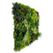 Designer Plants USA Evergreen Triptych Vertical Garden Wall Set 3 Pieces UV Resistant