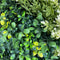 Designer Plants USA Evergreen Triptych Vertical Garden Wall Set 3 Pieces UV Resistant