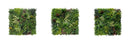 Designer Plants USA Evergreen Triptych Vertical Garden Wall Set 3 Pieces UV Resistant