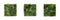 Designer Plants USA Evergreen Triptych Vertical Garden Wall Set 3 Pieces UV Resistant