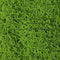 Designer Plants USA Faux Evergreen Moss Mat 40" x 20" 5.5 SQFT UV Resistant Commercial Grade UV Resistant